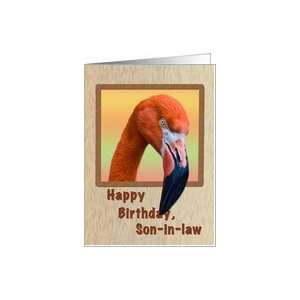  Birthday, Son in law, Flamingo Bird Card Health 