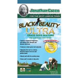  Black Beauty Ultra Grass Seed Mix, 3 Pounds Patio, Lawn & Garden