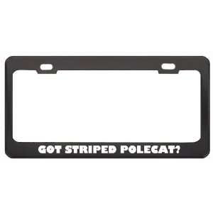 Got Striped Polecat? Animals Pets Black Metal License Plate Frame 