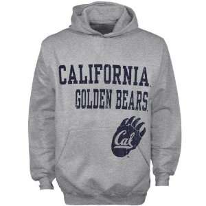  Cal Golden Bear Hoody Sweatshirt : Cal Bears Youth Ash 
