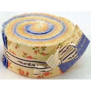  Urban Indigo Jelly Roll By The Each Arts, Crafts & Sewing