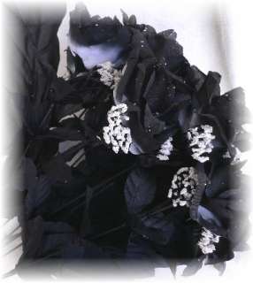 72 BLACK/WHITE Silk Long Stems Open Rose Wedding Flower  
