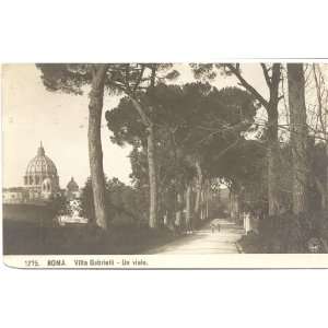 1920s Vintage Postcard An Avenue at the Villa Gabrielli   Rome Italy