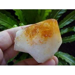  Zs9106 Gemqz Citrine Rough Point Root Large Piece 