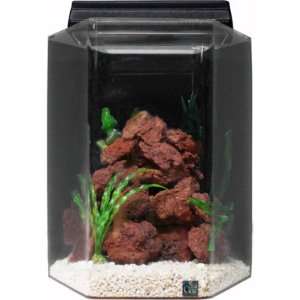   15 Gallon Hexagonal Jr. Executive Acrylic Aquarium Kit: Pet Supplies