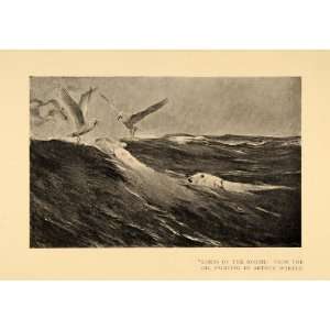  1911 Print North Lords Polar Bears Seagulls Birds Waves 