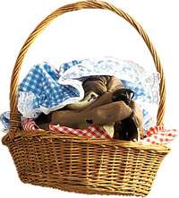 Basket with Wolfs Head   Little Red Riding Hood Costum  