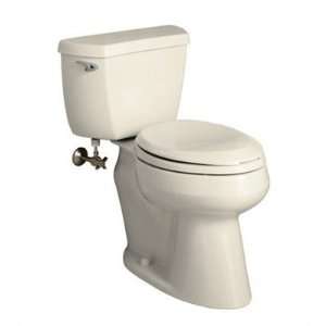   Comfort Height Elongated Toilet Finish: Thunder Grey: Home Improvement