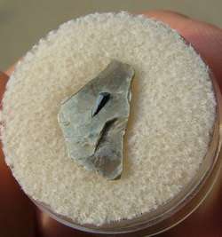 rutile crystal in mica Hiddenite North Carolina from old collection 