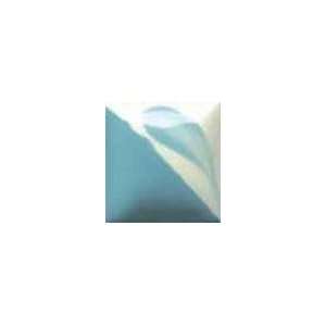   : duncan Ceramics underglaze Cn151 light blue spruce: Everything Else