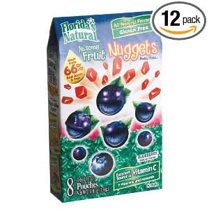 Floridas Natural Blueberry Nuggets, 8 Count, 0.6 Ounce Boxes (Pack of 
