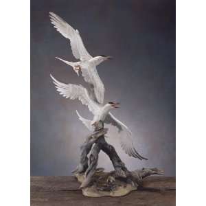  Roseate Terns Porcelain Sculpture