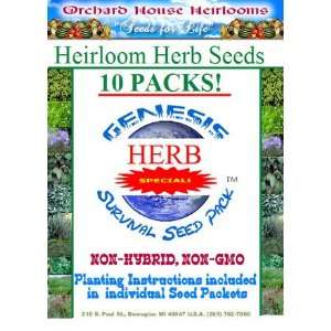  Genesis Survival Herb Seed Pack TM