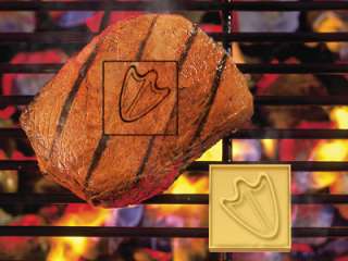 Oregon Ducks Team Logo BBQ Grill Meat Branding Iron  