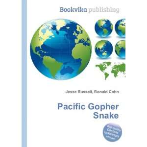  Pacific Gopher Snake Ronald Cohn Jesse Russell Books