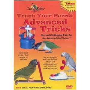   Phonics Teach your Parrot DVD 4 Advanced Tricks