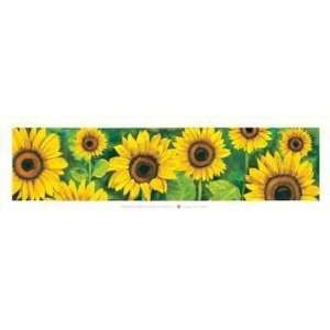  Campo Di Girasoli Poster Print