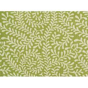  P9029 Tandis in Citrus by Pindler Fabric: Home & Kitchen