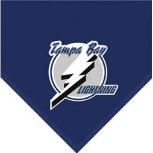  Tampa Bay Lightning Team Fleece Blanket: Sports & Outdoors