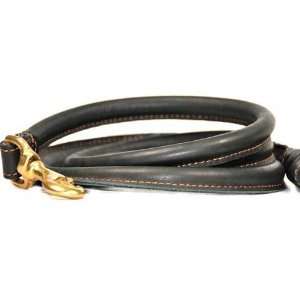  Tamed Beauty Leather Dog Leash: Pet Supplies