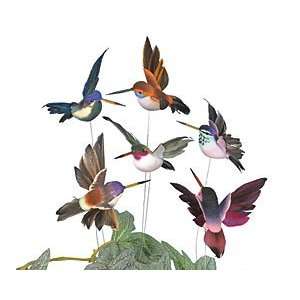  SET of 6 Hummingbird Picks Multicolored Assortment Six 