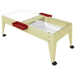  Duplex Sand/Water Table Youth: Toys & Games