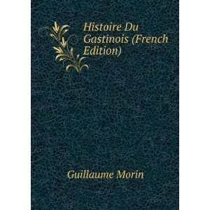    Histoire Du Gastinois (French Edition) Guillaume Morin Books
