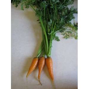  Danvers Half Long Carrot Patio, Lawn & Garden