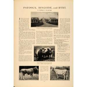 : 1927 Article Paddock Byre Harold Gulliver Guernsey Cow Bull Cattle 
