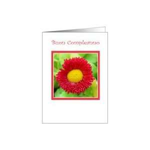  Red Poppy Italian Birthday Card Card: Health & Personal 
