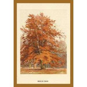  Vintage Art Beech Tree   17654 7