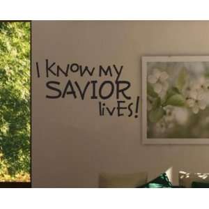   Scriptural Christian Vinyl Wall Decal Mural Quotes Words Cl029iknowii7