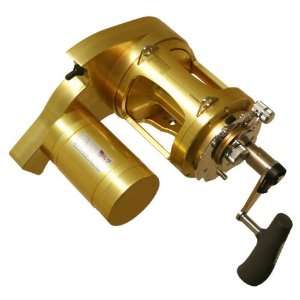 Dolphin Power Assisted Motor Drive With Shimano Tiagra 130WA Reel 