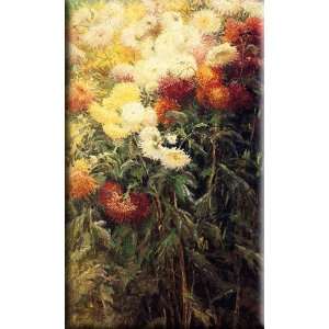 Chrysanthemums, Garden at Petit Gennevilliers 18x30 Streched Canvas 