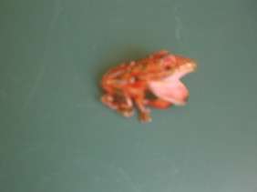 Vintage Signed Art Frog Brooch Pin Jewelry  