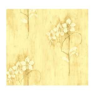 York Wall coverings Calypso Transitional Orchid on Textured Background 