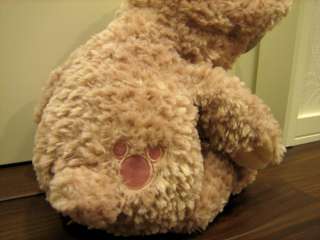 Duffy bear shellie may Disney bear hidden mickey limited Japan tokyo 