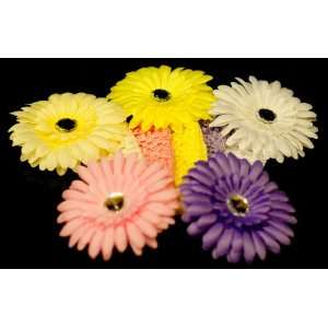 Gerbera Daisies with Matching Headbands. Great for Babies, Toddlers 