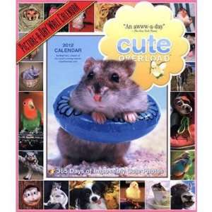  Cute Overload 2012 Picture a Day Wall Calendar Office 
