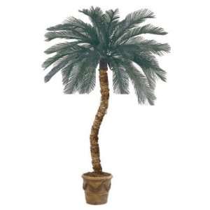  6 Cycas Palm Tree: Arts, Crafts & Sewing