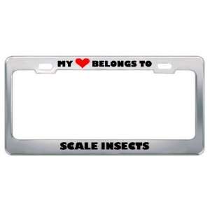 My Heart Belongs To Scale Insects Animals Metal License Plate Frame 