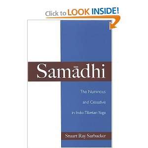  Samadhi The Numinous and Cessative in Indo Tibetan Yoga 