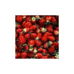  Albion Strawberries   20 Crowns Patio, Lawn & Garden
