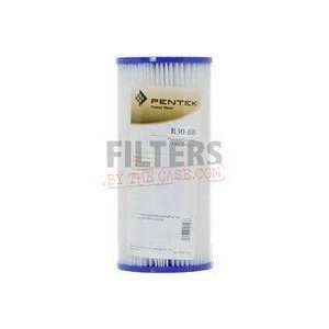  R30 BB Pentek Whole House Filter Replacement Cartridge 