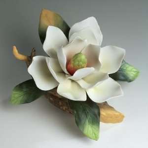  Andrea Sadek 15672 White Magnolia on Branch: Home 