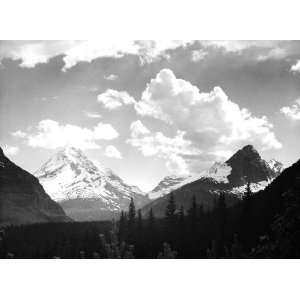 Across Forest In Glacier National Park   Ansel Adams   1933 42  