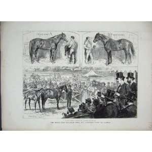    1872 Middle Park Sale Blair Athol Gladiateur Horses