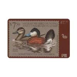   Card Duck Hunting Permit Stamp Card #50 Void After 1982 Ruddy Ducks