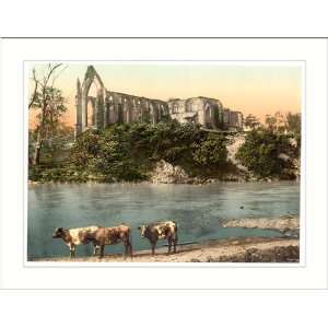  Abbey from the river Bolton England, c. 1890s, (M) Library 