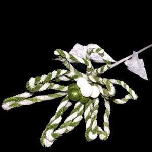 Green Candy Cane Stripped Poinsetta Grocery & Gourmet Food